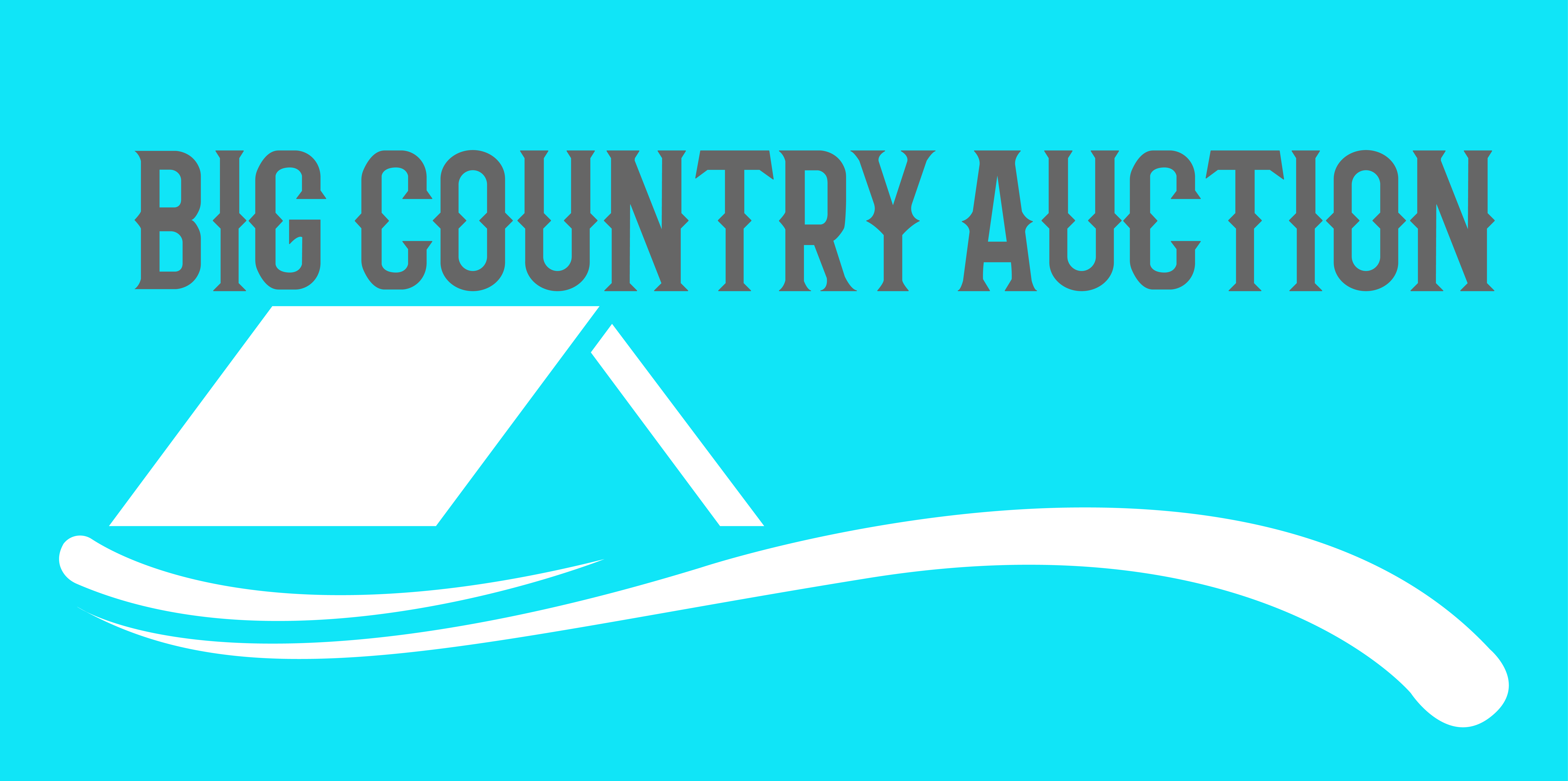 estate-auction-services-big-country-auctions